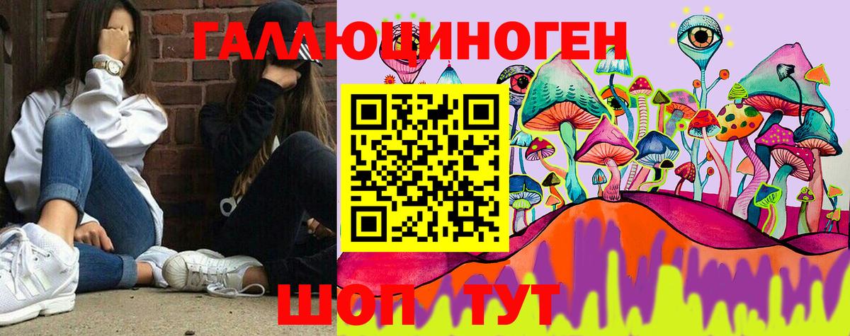 Псилоцибиновые грибы Psilocybine cubensis  Вход с VPN  Семёнов 