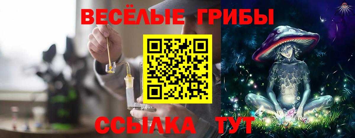 Псилоцибиновые грибы мухоморы Семёнов
